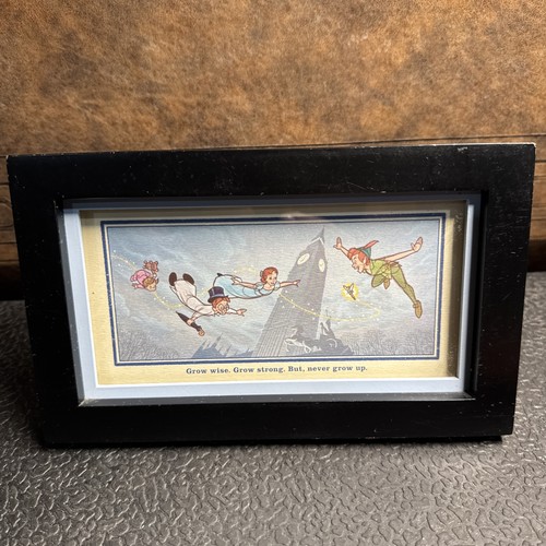 Disney hallmark peter pan - peter,